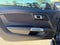 2021 Ford Mustang GT Fastback