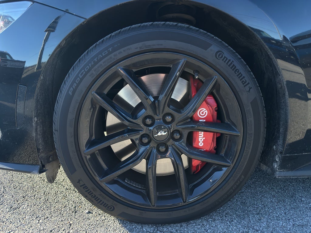 2024 Ford Mustang GT Premium Fastback