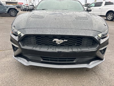 2019 Ford Mustang EcoBoost