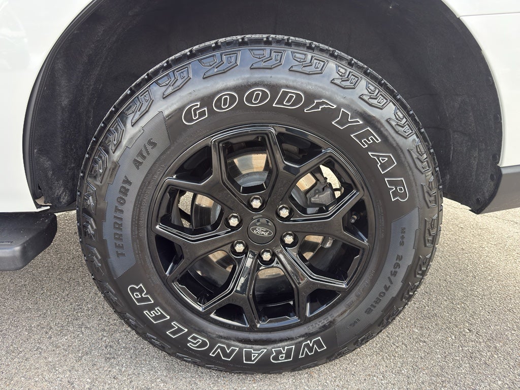 2024 Ford Expedition Timberline