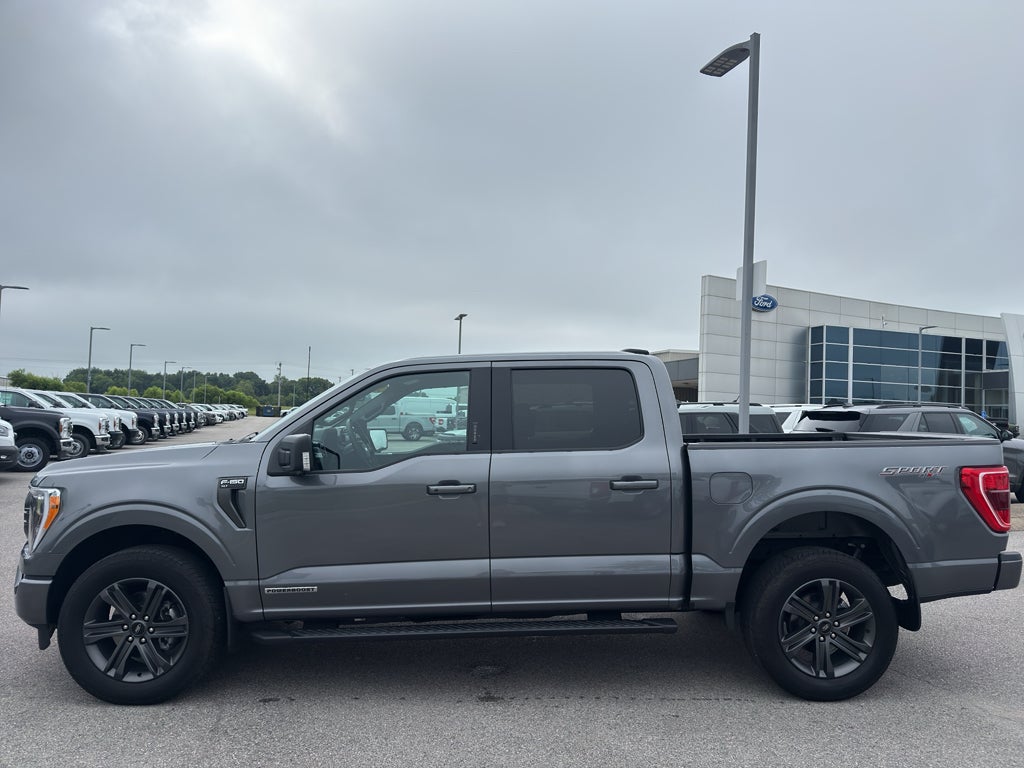 2023 Ford F-150 XLT