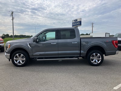2023 Ford F-150 XLT