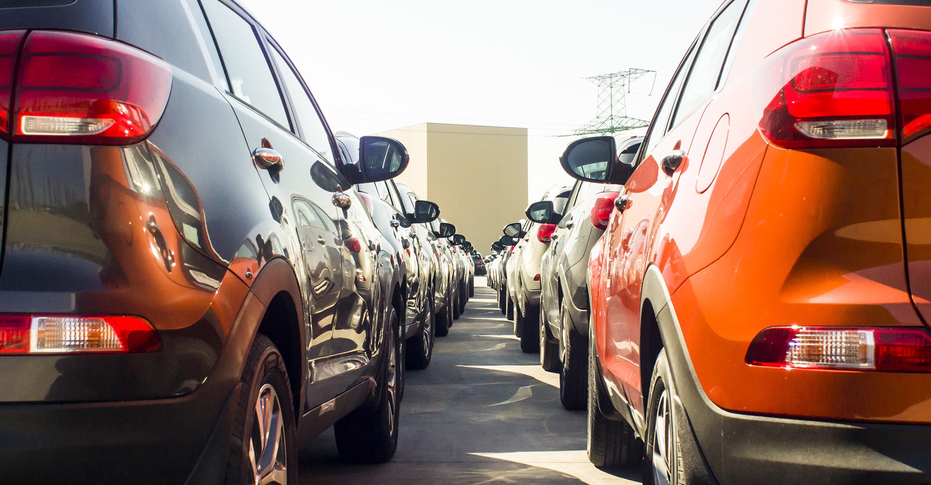 Ford vehicles at a dealership lot